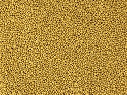 sc-ye-mio-1305-s-sak